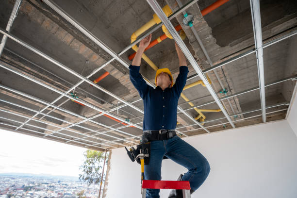 Best Plumbing Inspection Services  in Cedarburg, WI