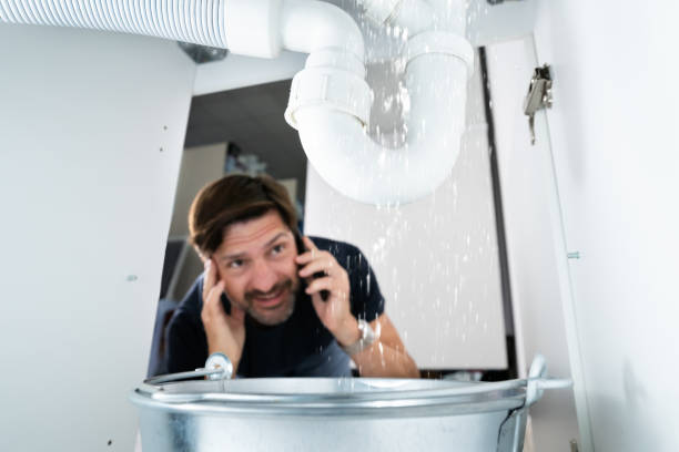 Best Sprinkler Systems  in Cedarburg, WI